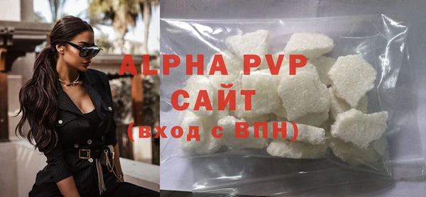 стаф Вязьма
