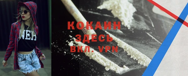 стаф Вязьма