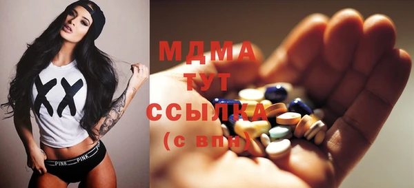 стаф Вязьма