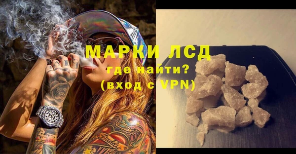 стаф Вязьма