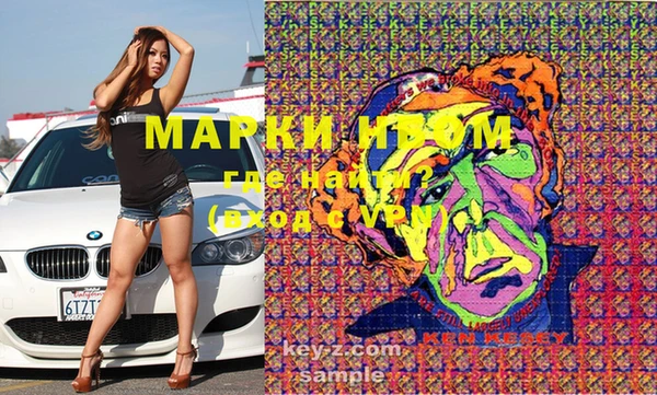 стаф Вязьма