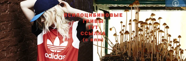 наркотики Вяземский