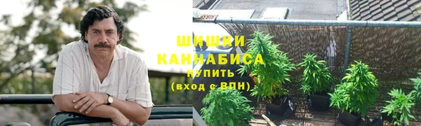 spice Сосновый Бор